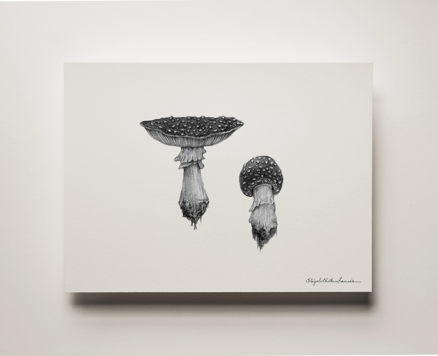 Fly Agaric Mushroom | Fine Art Print