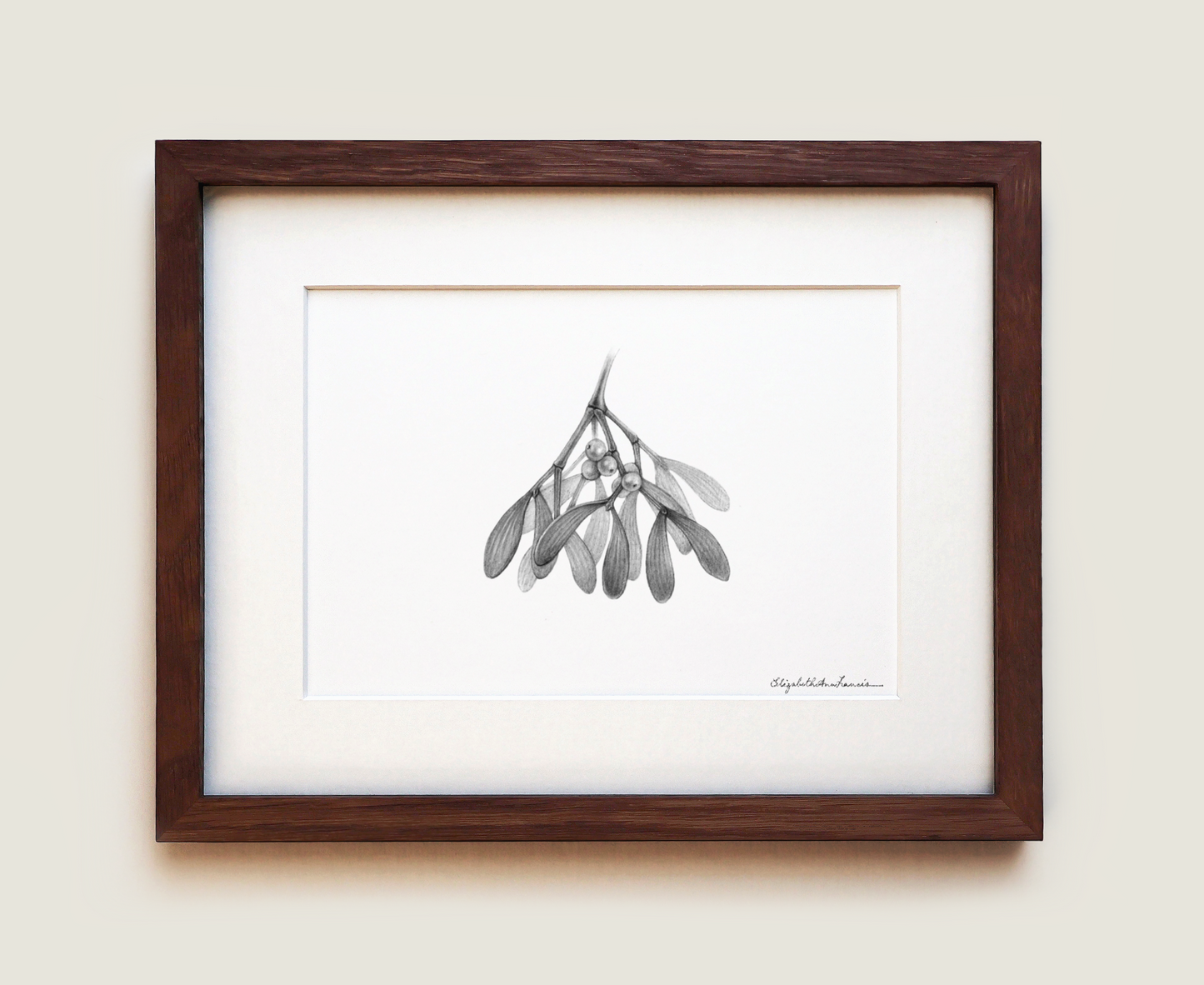 Mistletoe | Fine Art Print