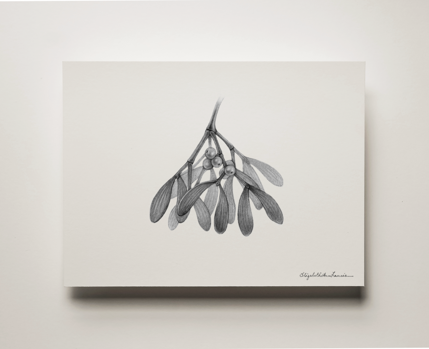 Mistletoe | Fine Art Print