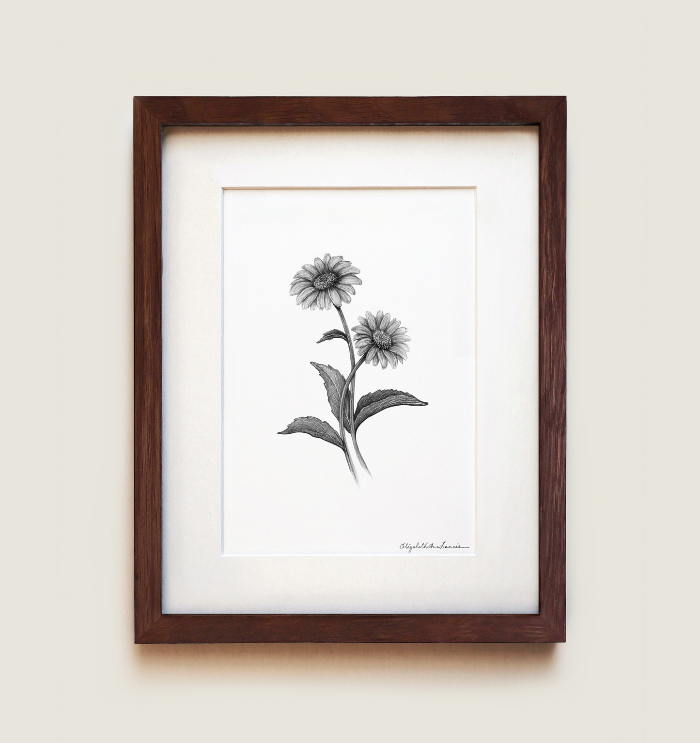Daisy Flowers | Fine Art Print