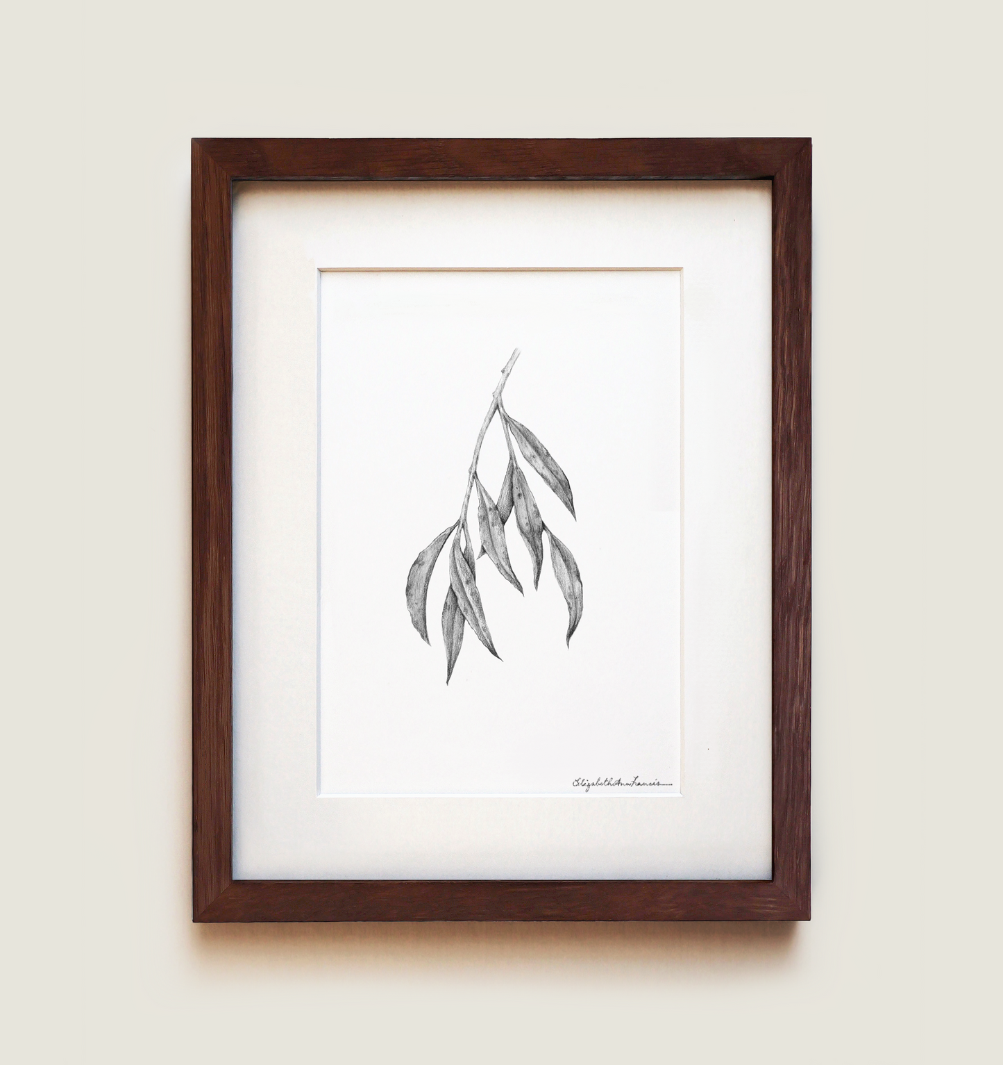 Weeping Willow Leaves | Fine Art Print