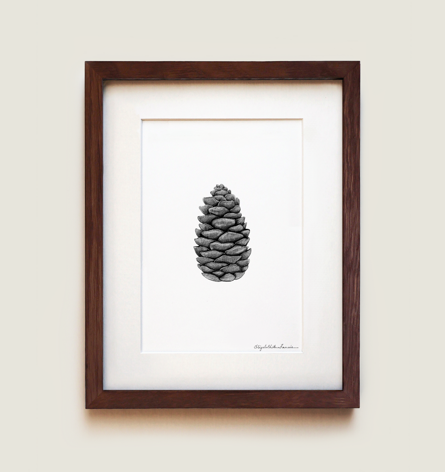 White Spruce Cone | Fine Art Print