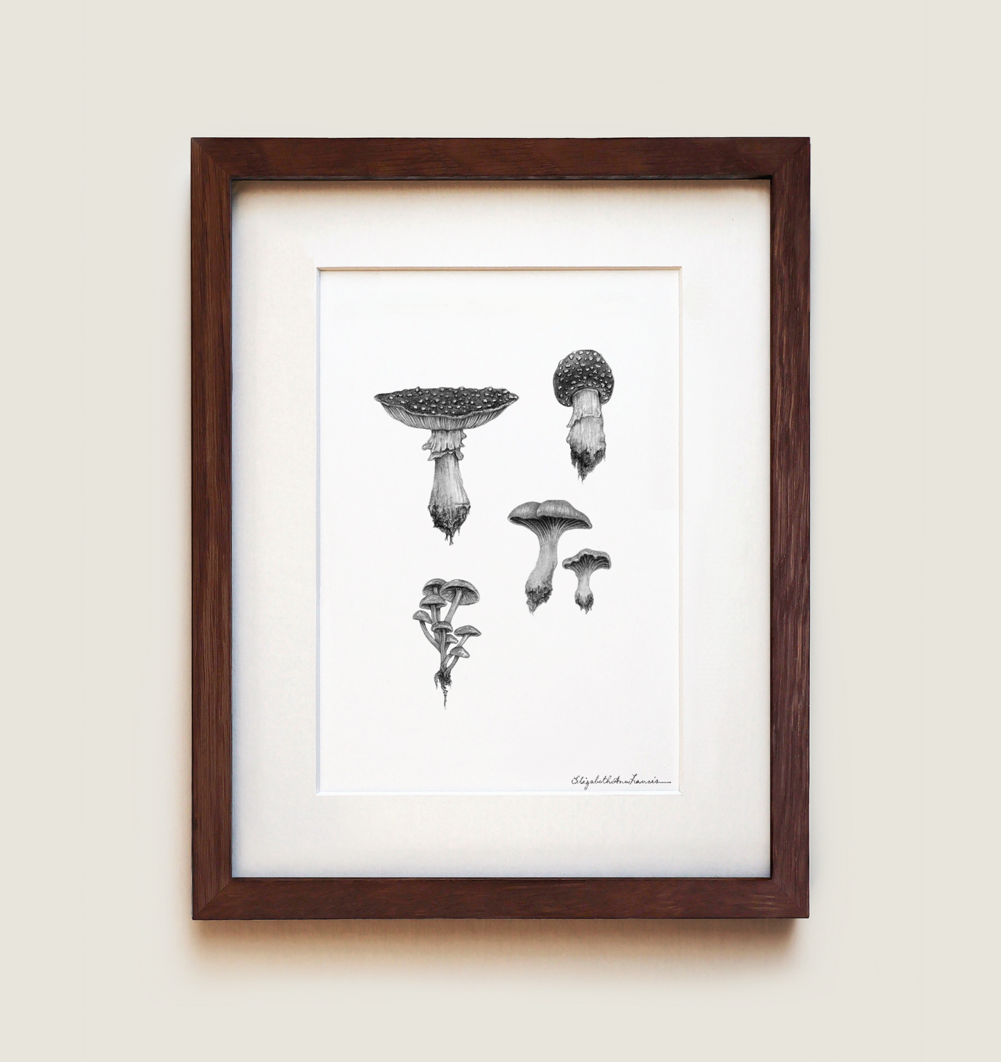 Woodland Mushrooms | Fine Art Print