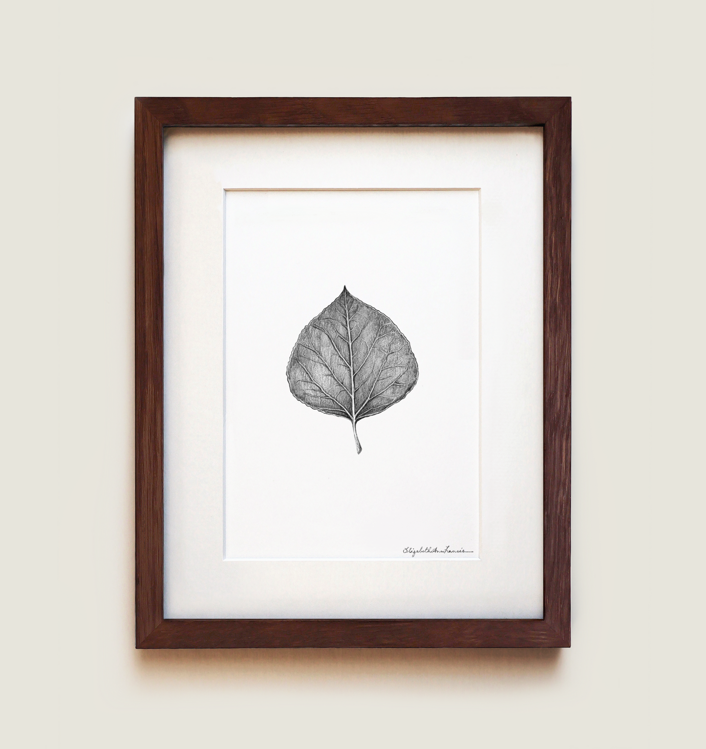 Quaking Aspen Leaf | Fine Art Print