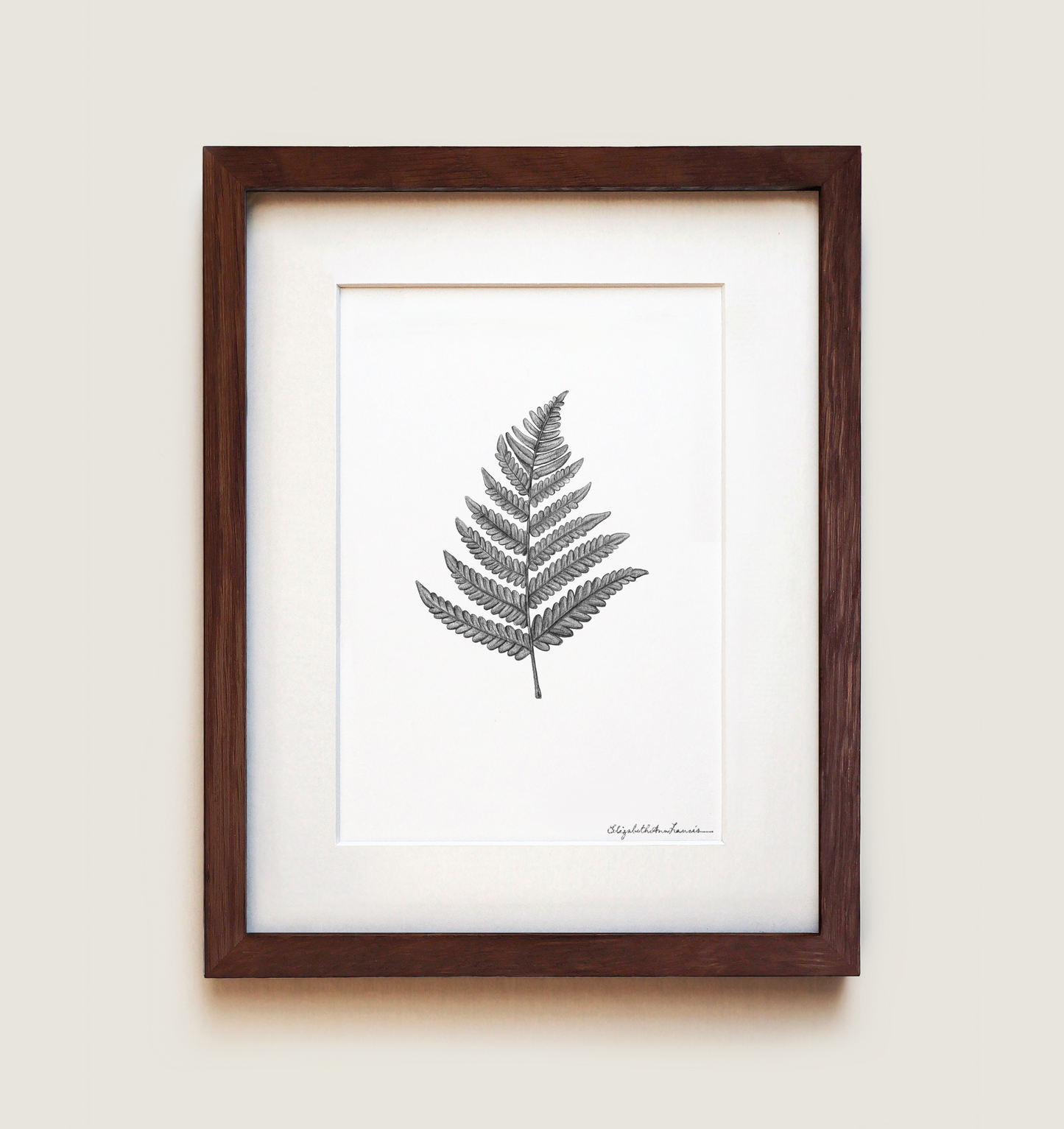 Eastern Bracken Fern | Fine Art Print