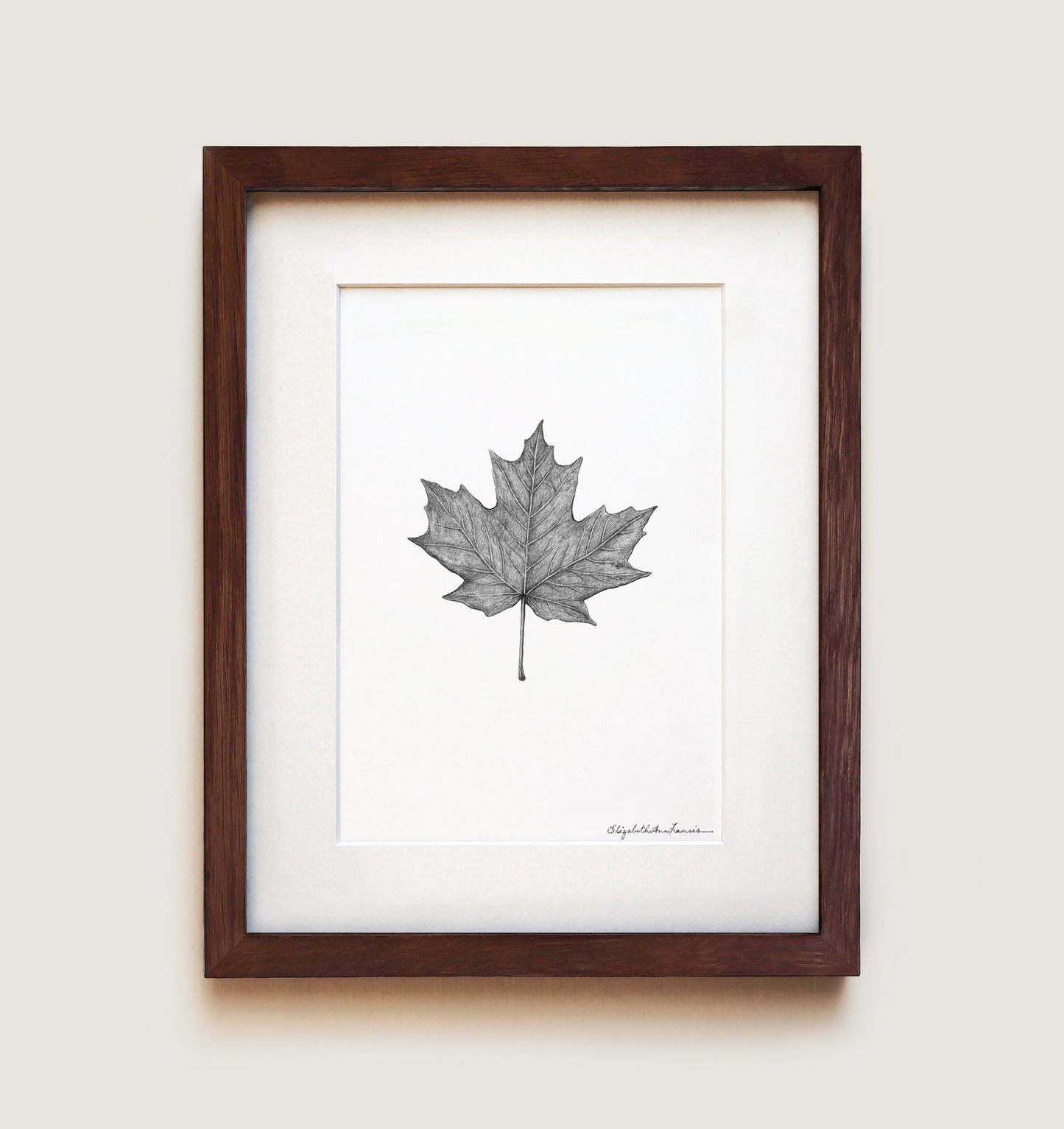 Sugar Maple Leaf | Fine Art Print