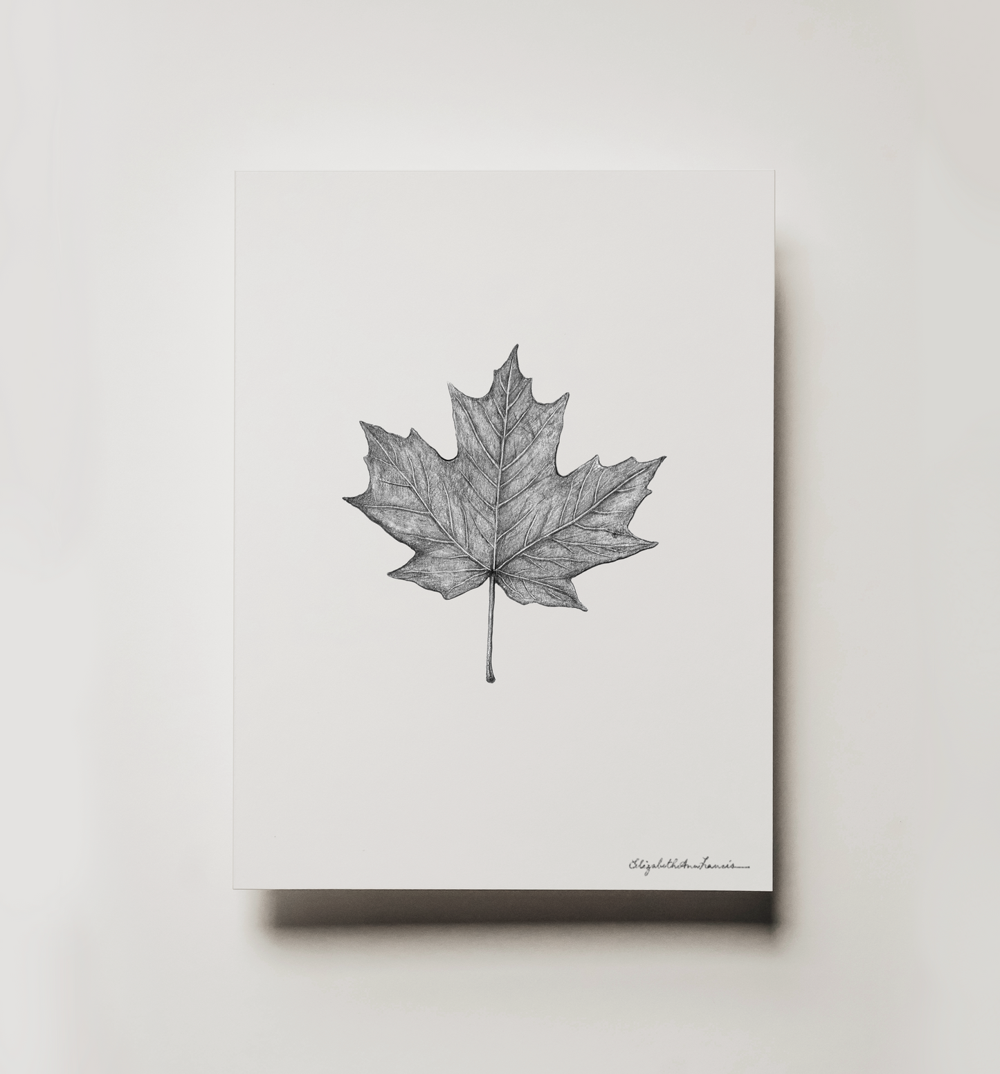 Sugar Maple Leaf | Fine Art Print