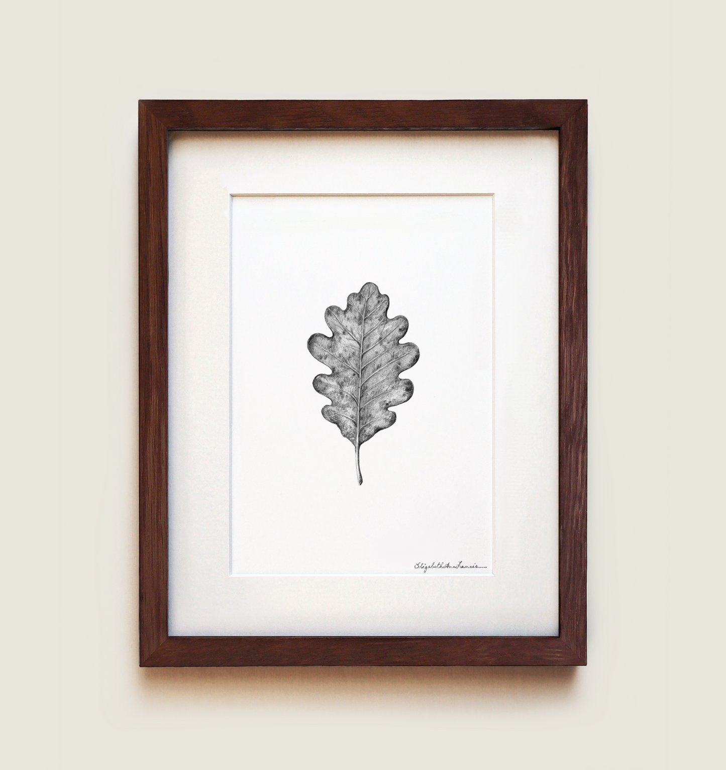 White Oak Leaf | Fine Art Print