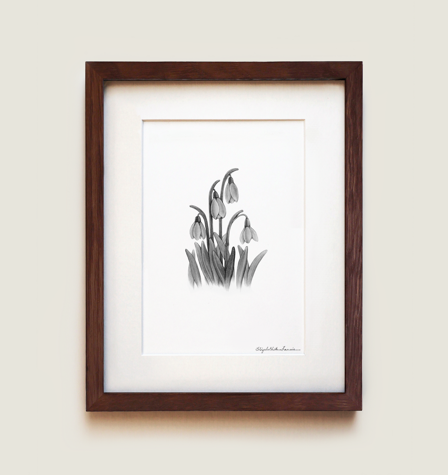 Snowdrops | Fine Art Print