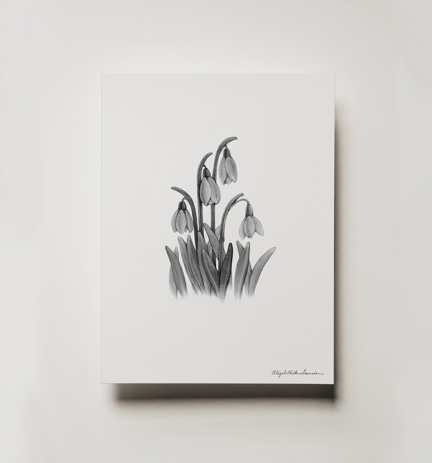 Snowdrops | Fine Art Print