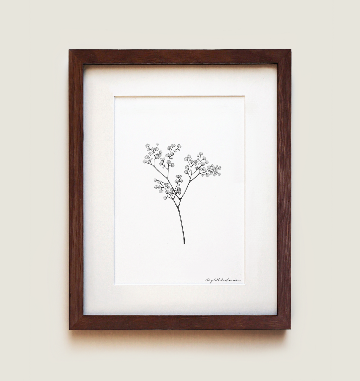 Baby's Breath | Fine Art Print