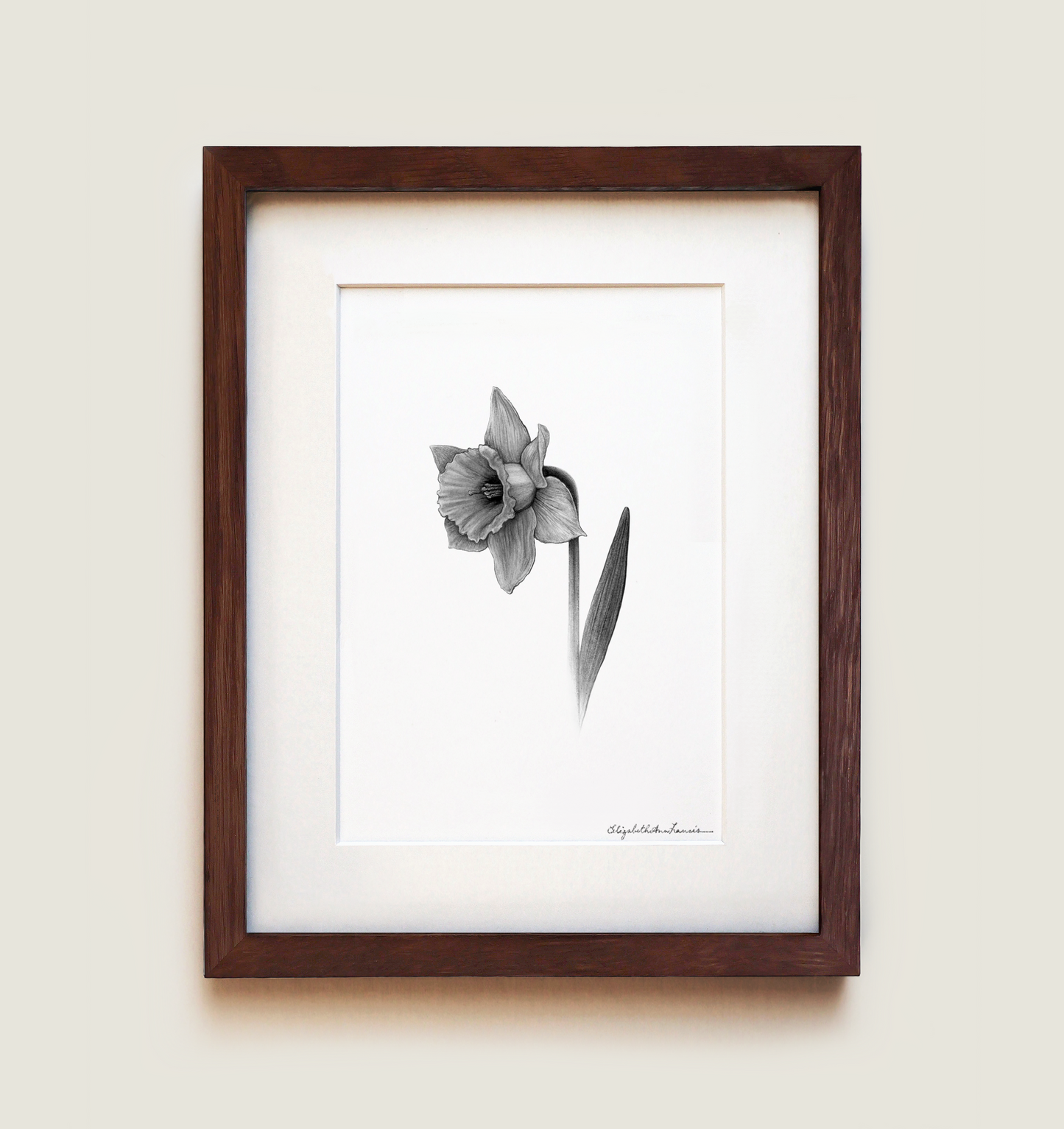 Daffodil | Fine Art Print