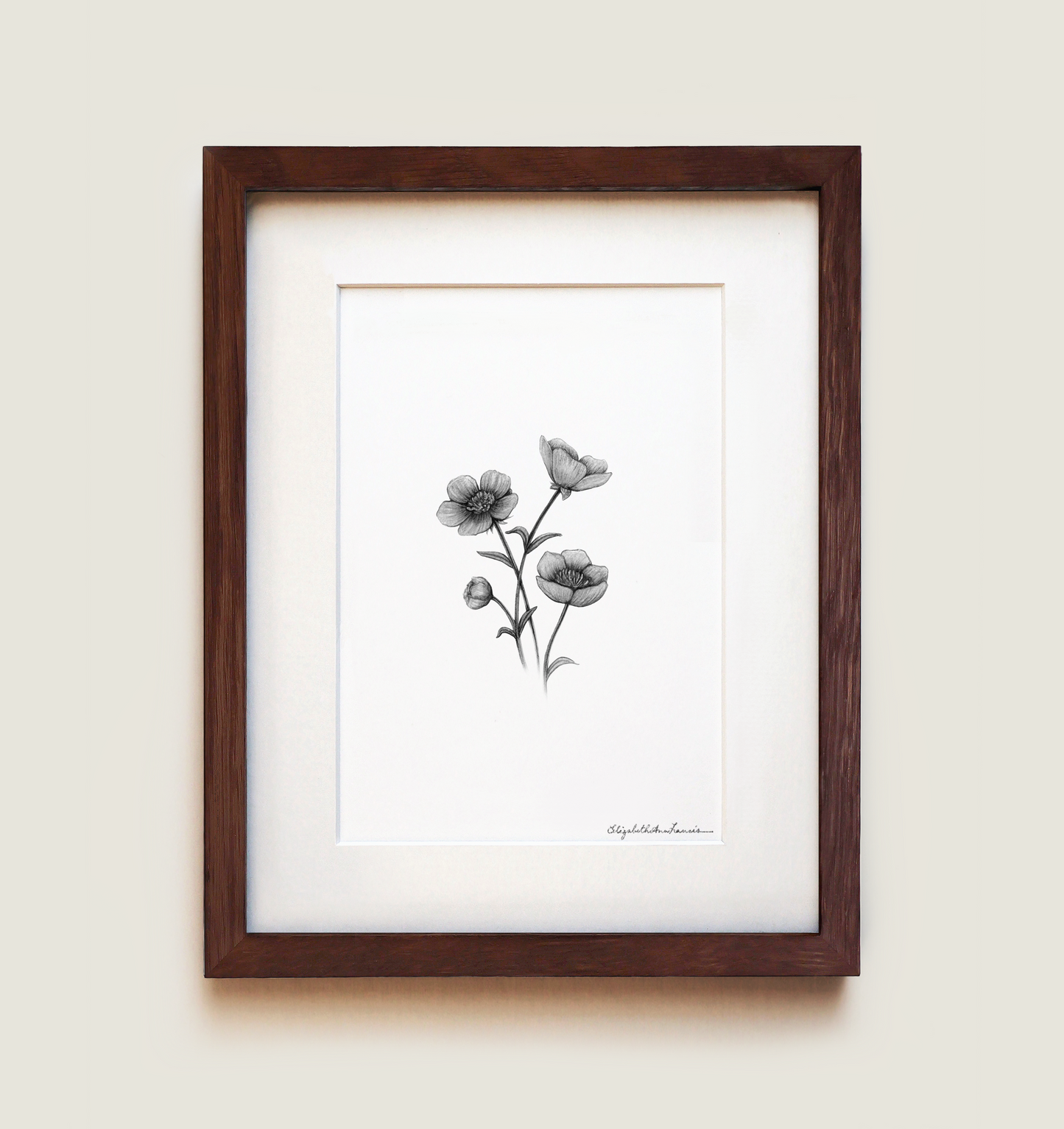 Buttercup Flowers | Fine Art Print