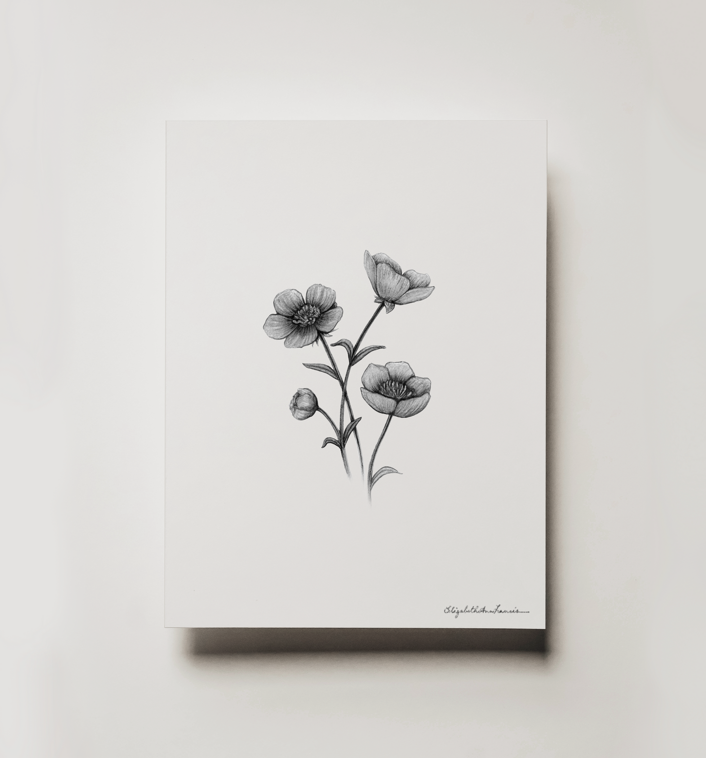 Buttercup Flowers | Fine Art Print