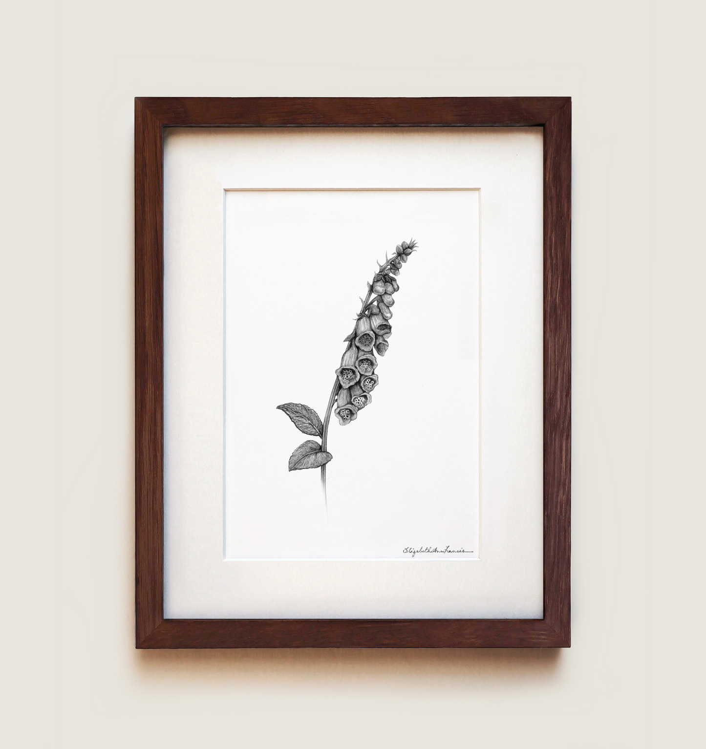 Foxglove Flowers | Fine Art Print