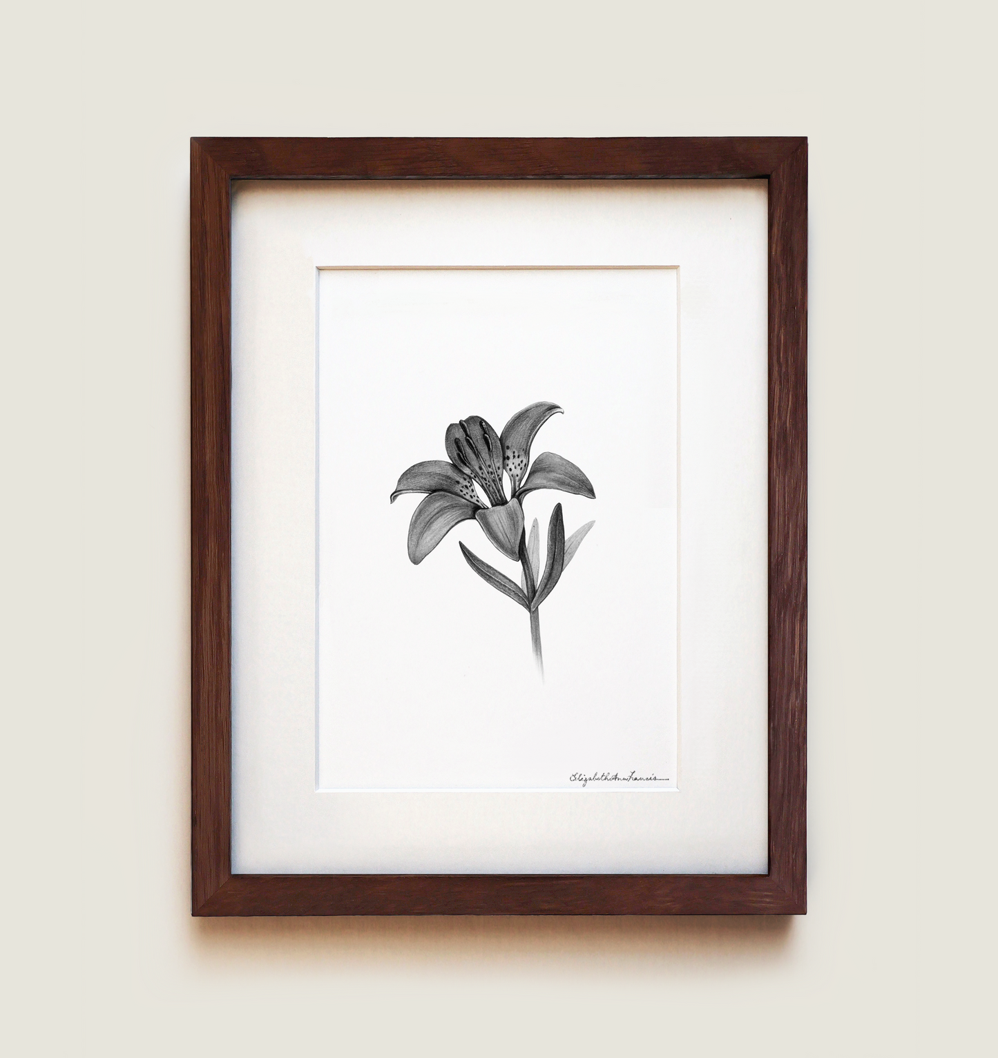 Western Red Lily | Fine Art Print