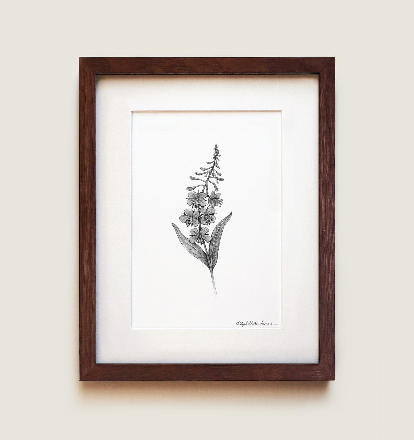 Fireweed | Fine Art Print