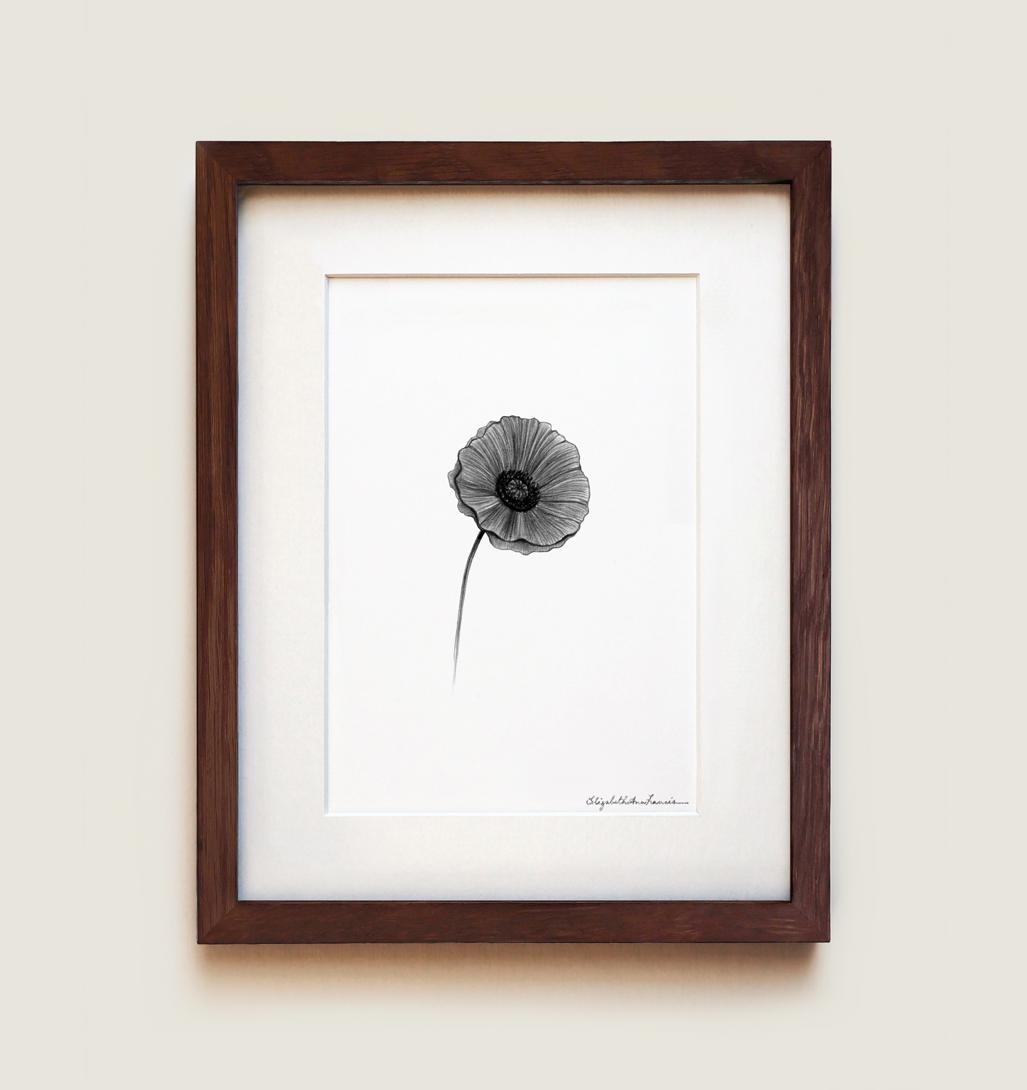 Poppy | Fine Art Print