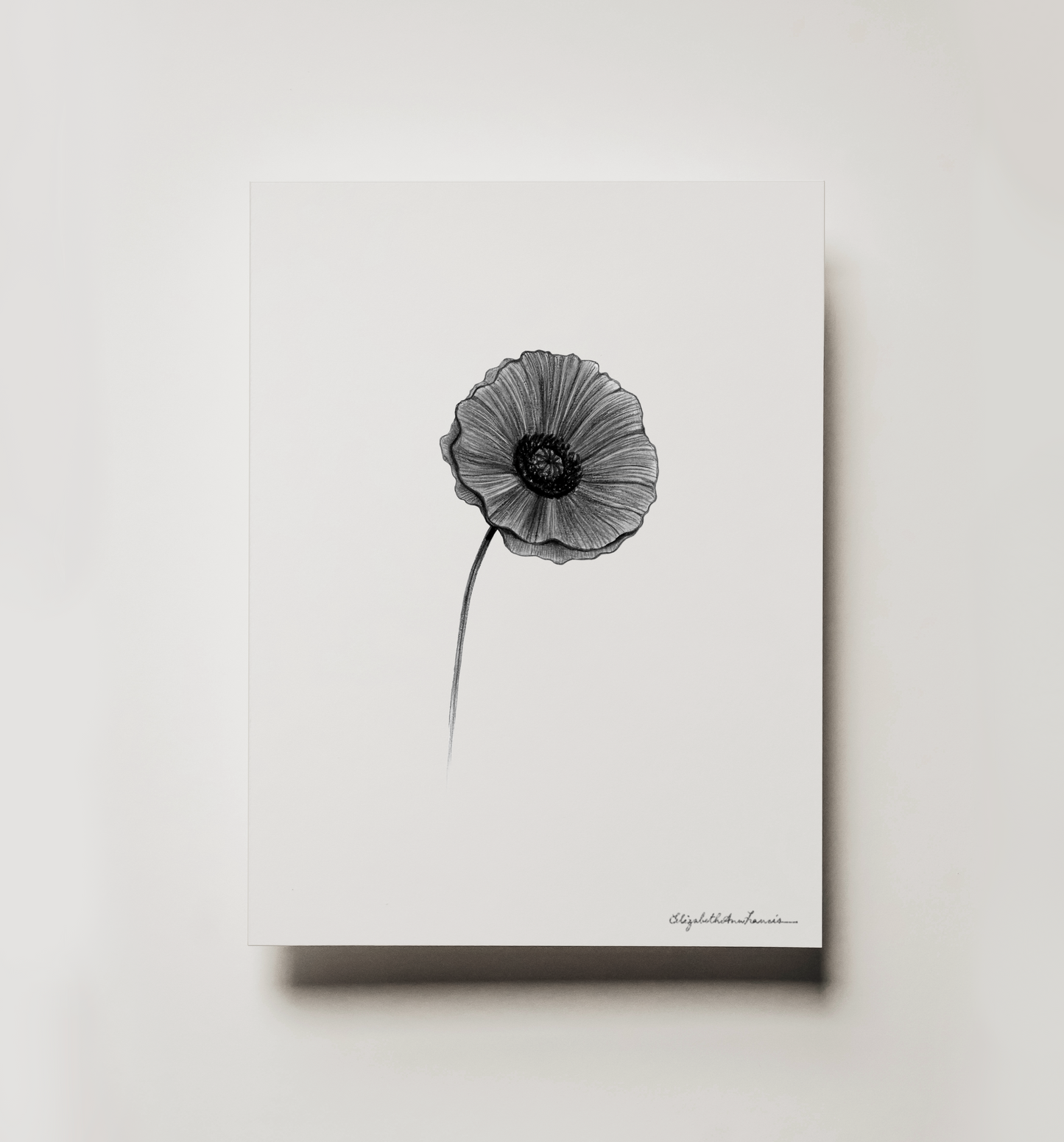 Poppy | Fine Art Print