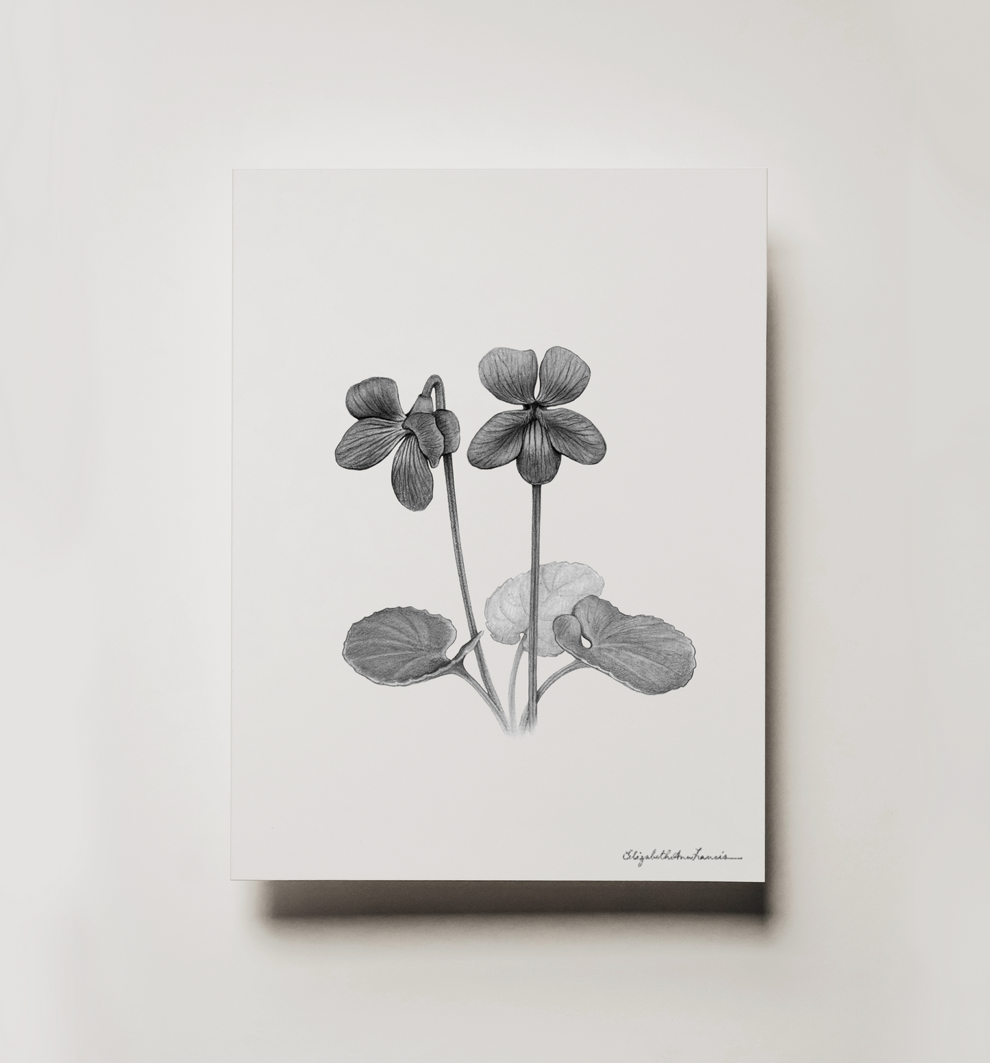 Purple Violet | Fine Art Print