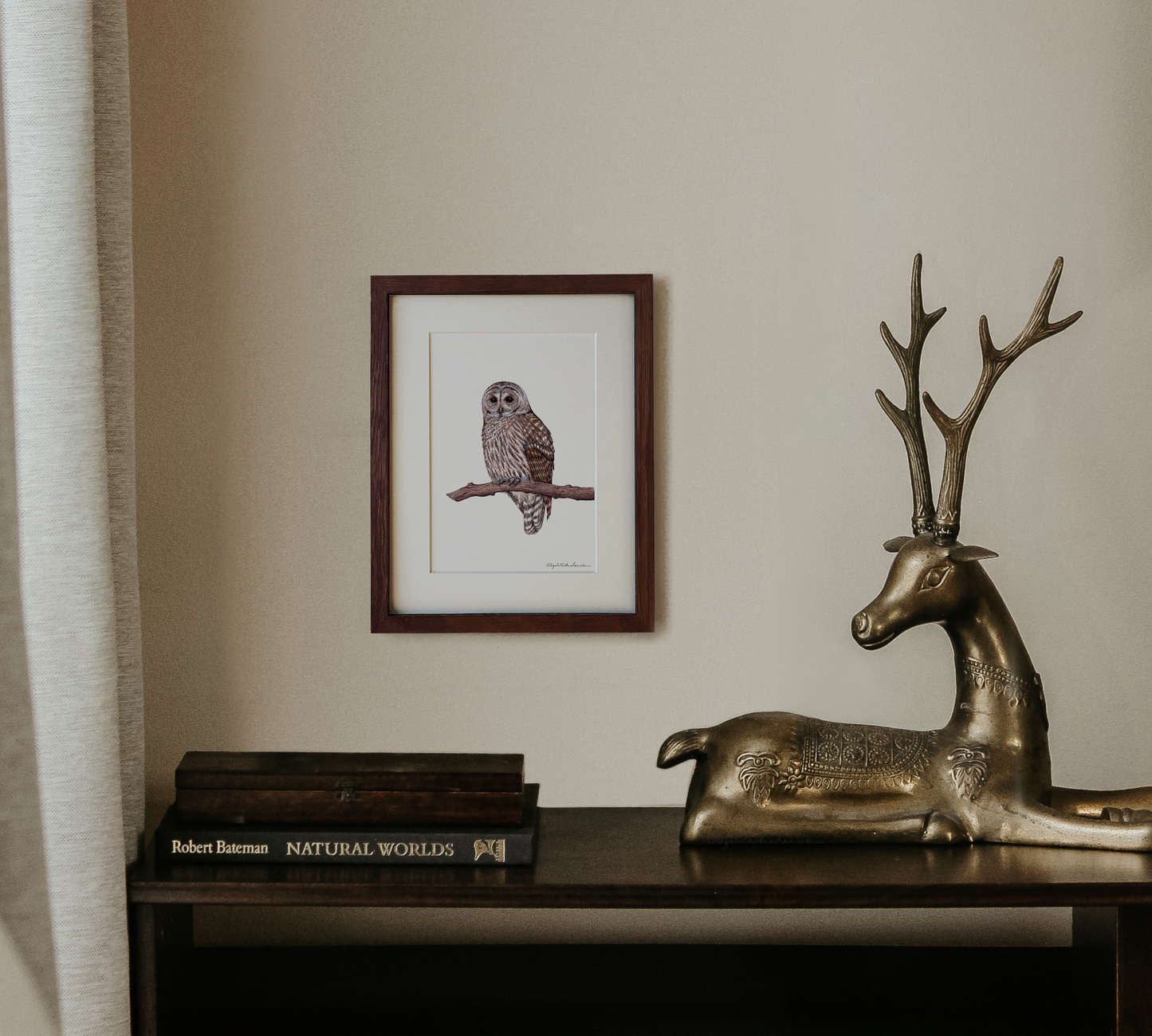 Barred Owl | Framed Art Print