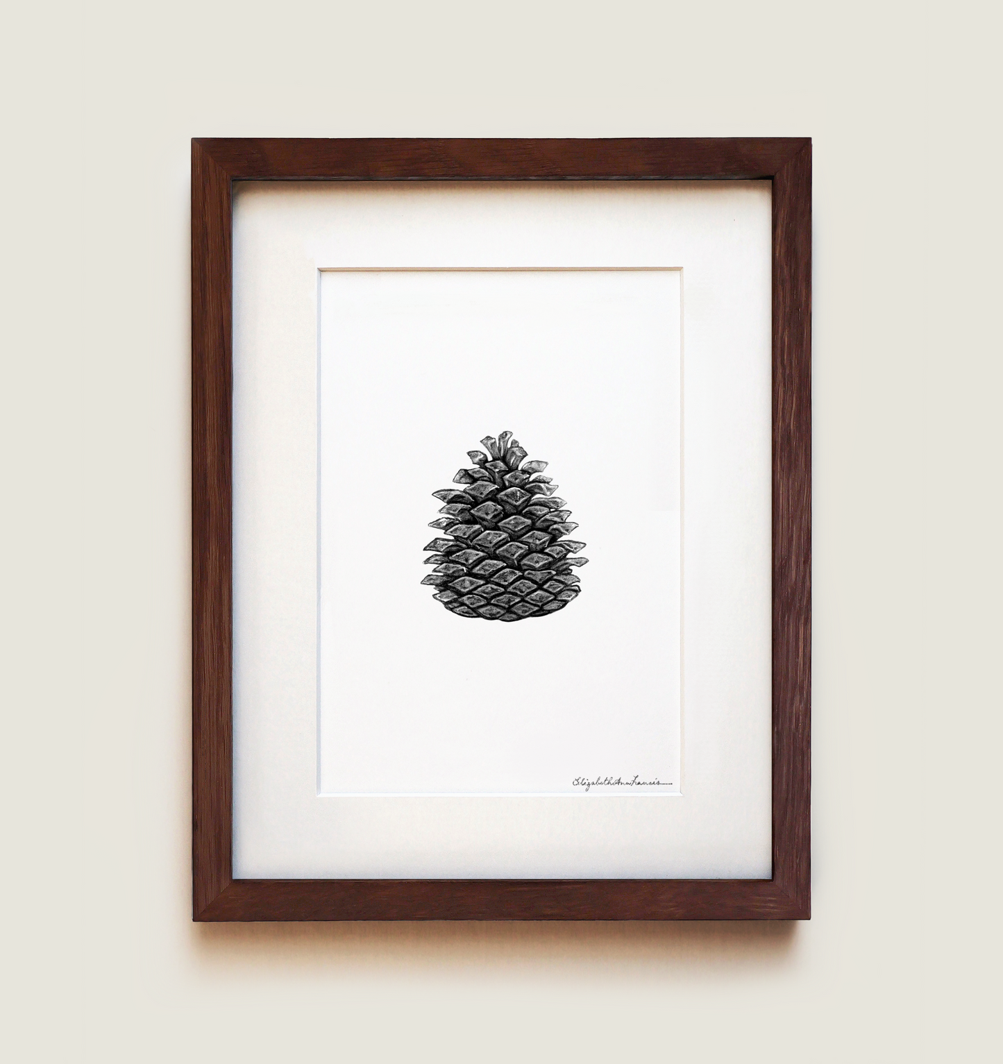 Pine Cone | Fine Art Print