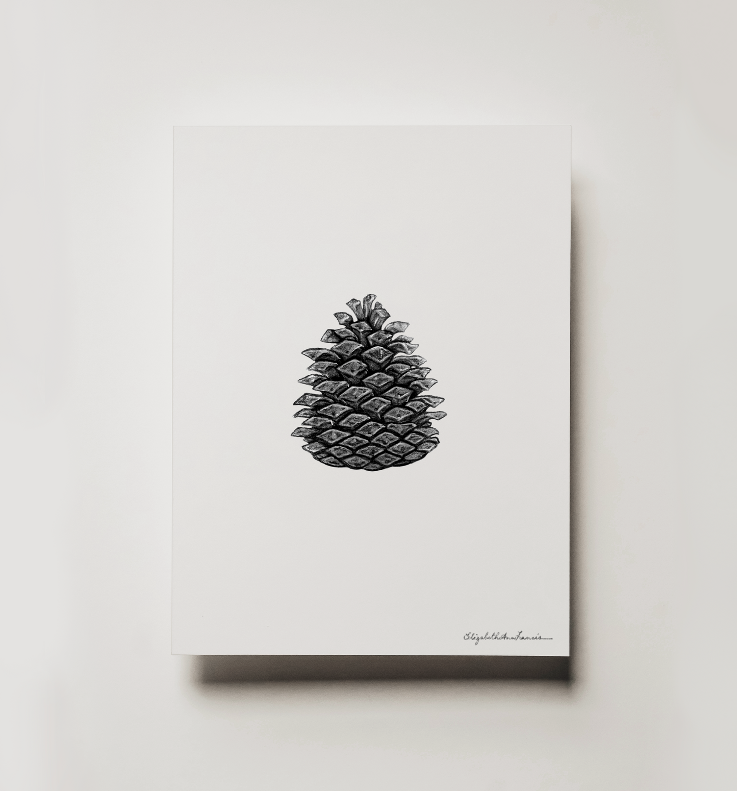 Pine Cone | Fine Art Print