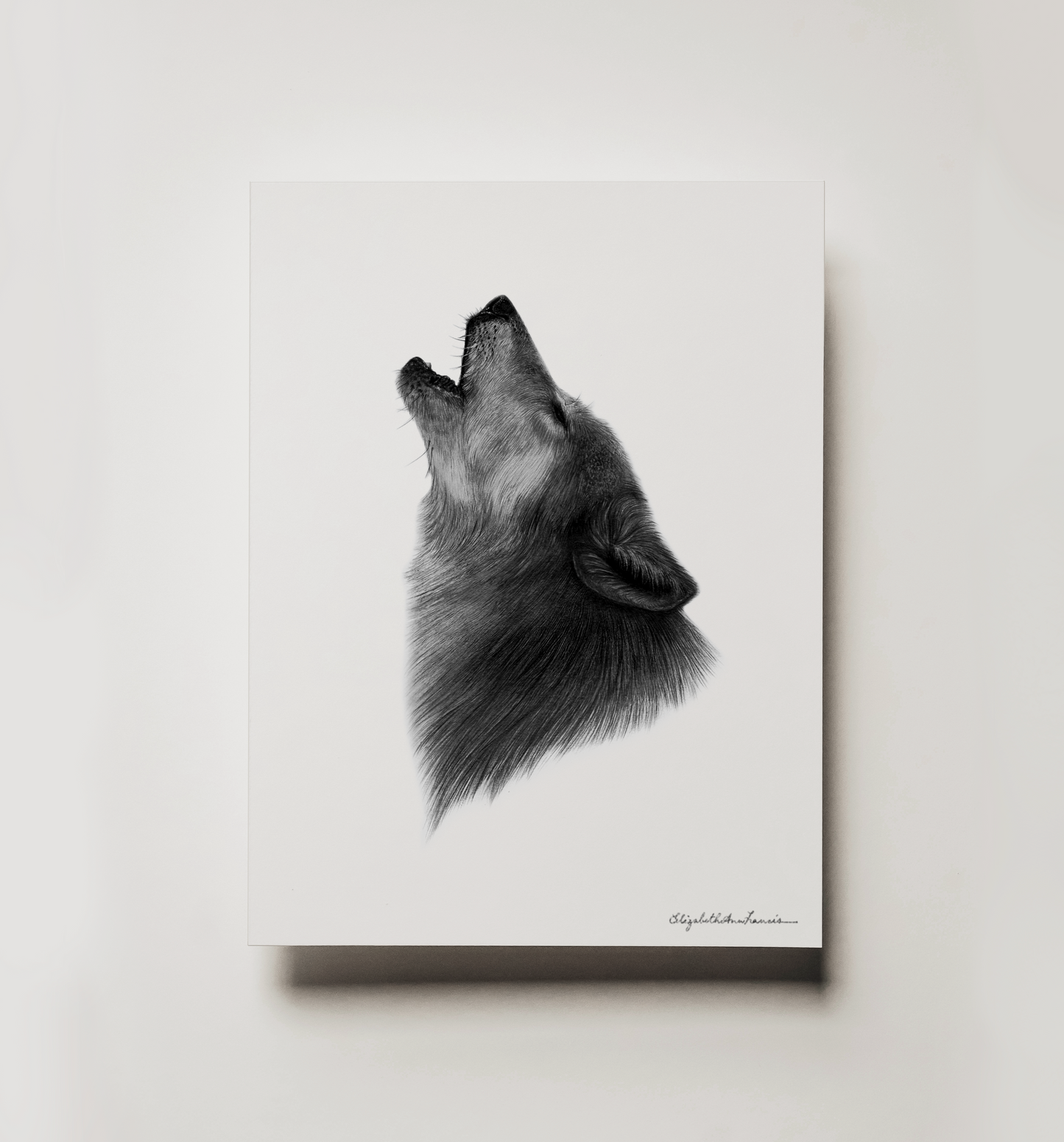 Howling Wolf | Limited Edition Print