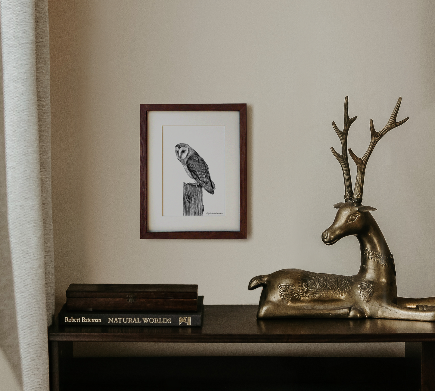 Barn Owl | Fine Art Print
