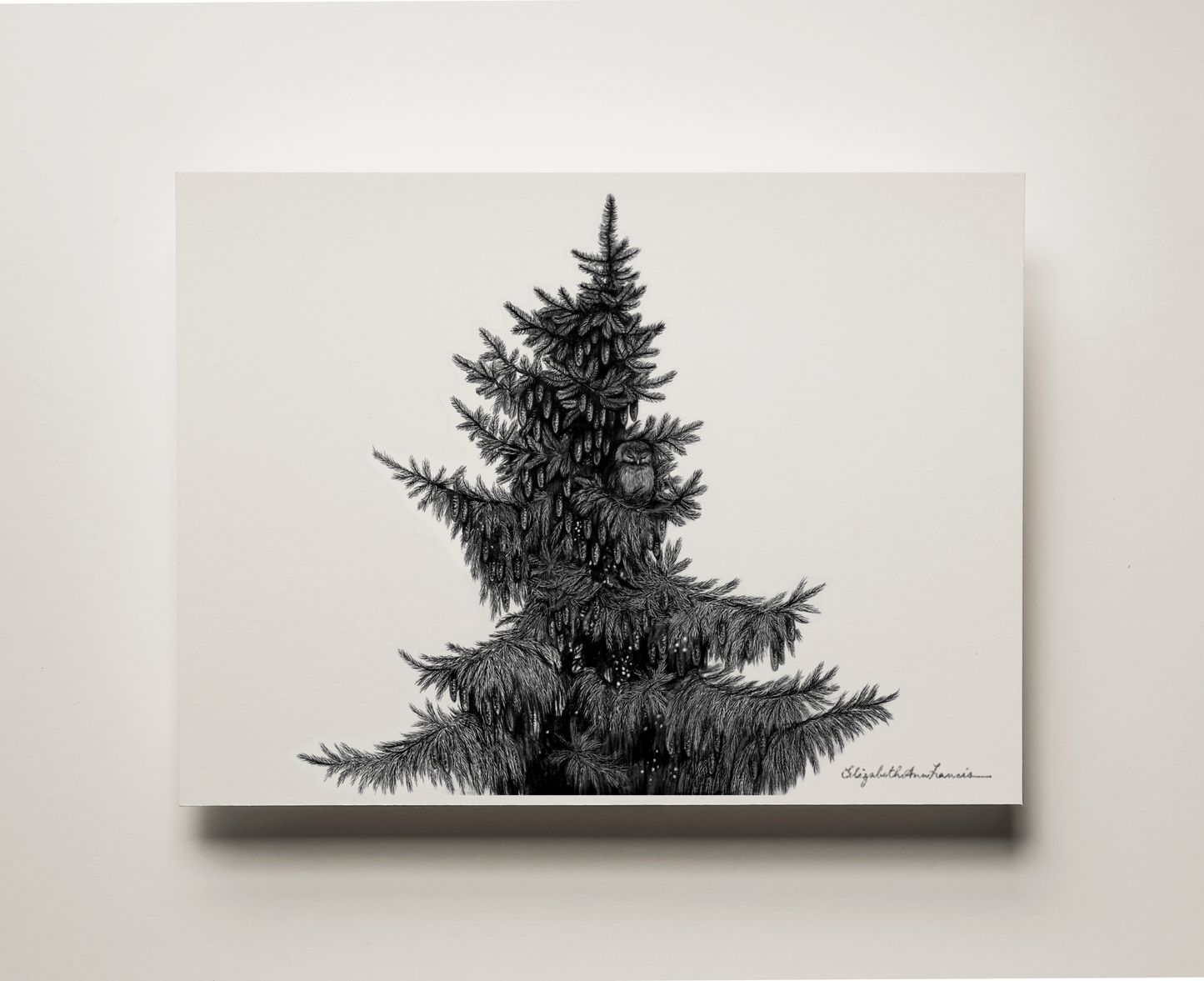 Boreal Dream | Fine Art Print