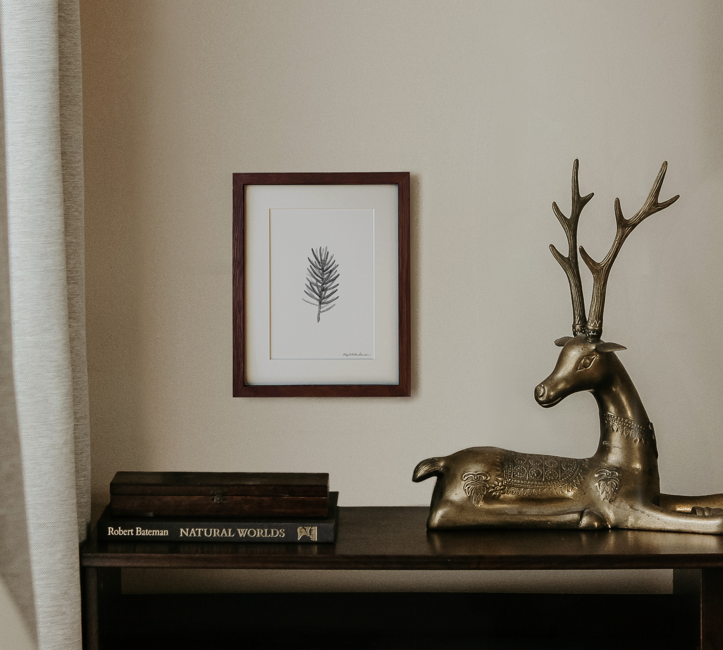 White Spruce | Fine Art Print