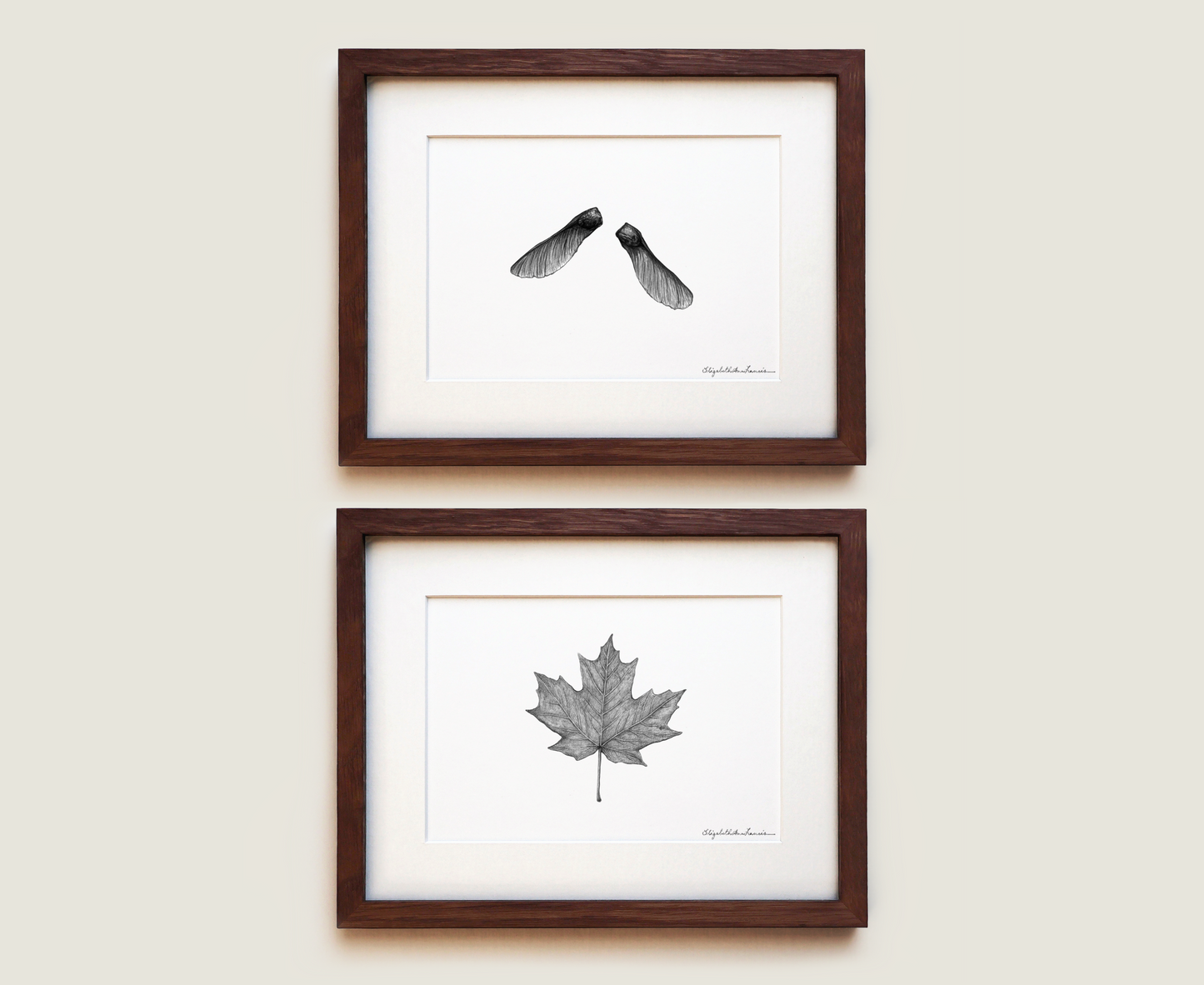 Sugar Maple | Fine Art Print Set