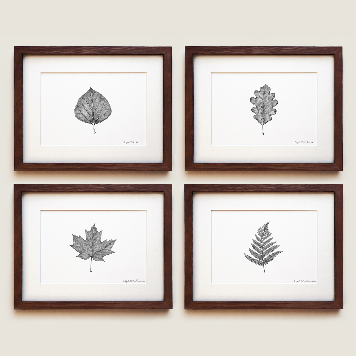 Leaves Collection | Fine Art Print Set