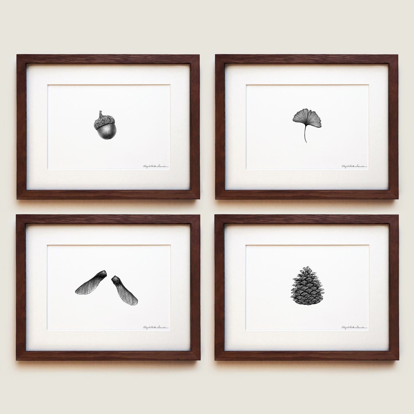 Botanical Collection | Fine Art Print Set