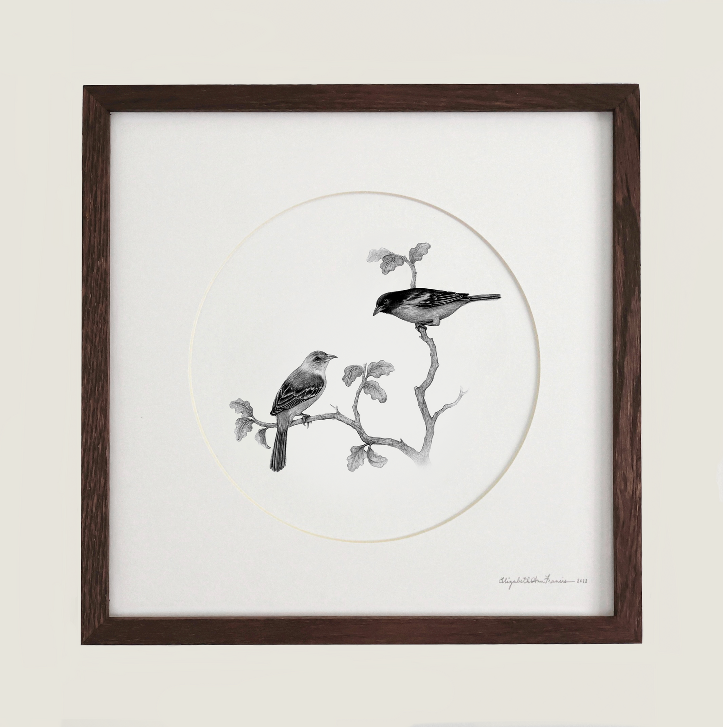 Baltimore Orioles | Framed Original Drawing