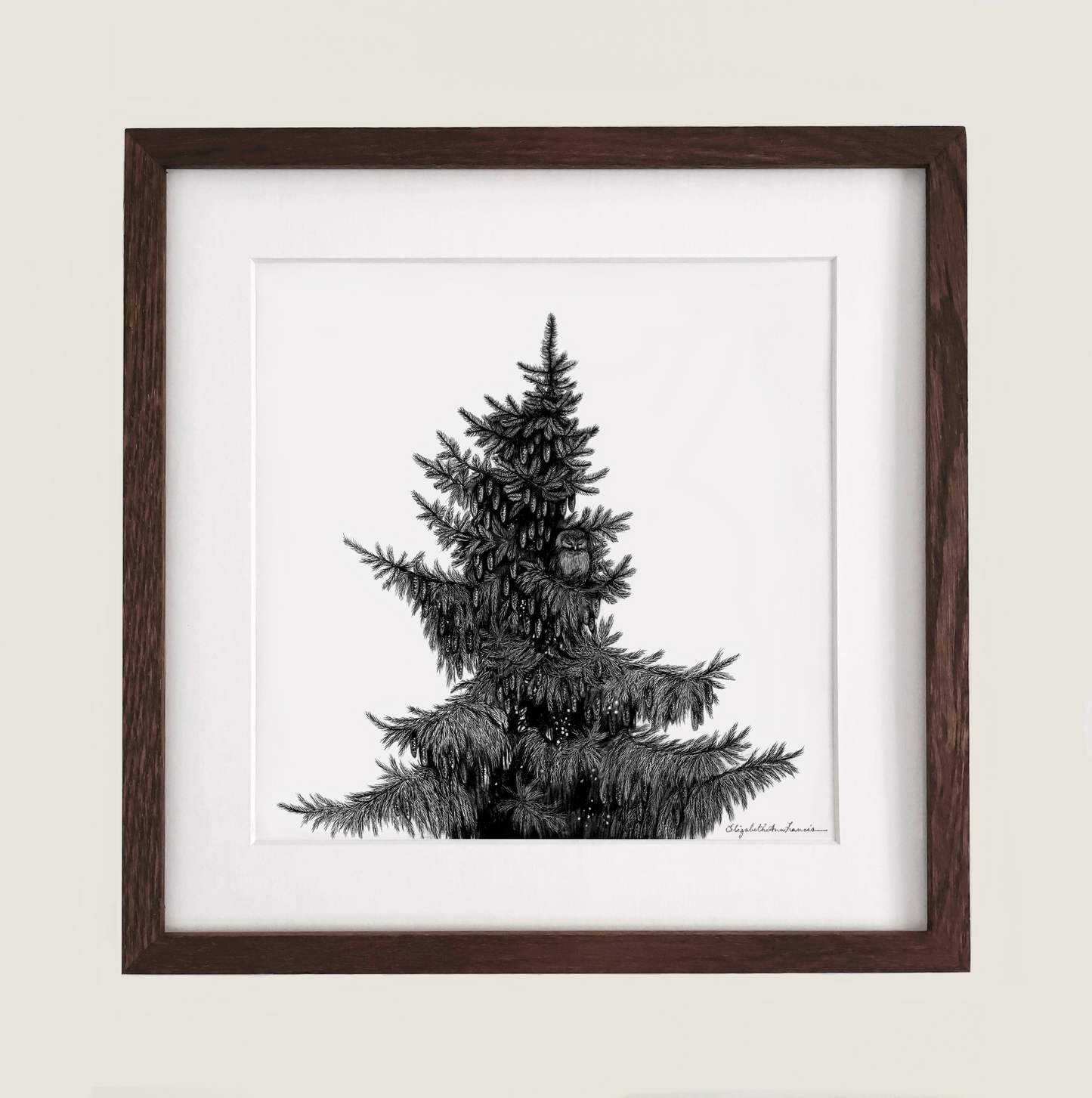 Boreal Dream | Framed Original Drawing