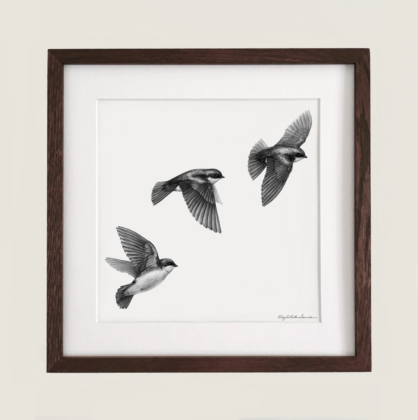 Tree Swallows in Flight | Framed Original Drawing