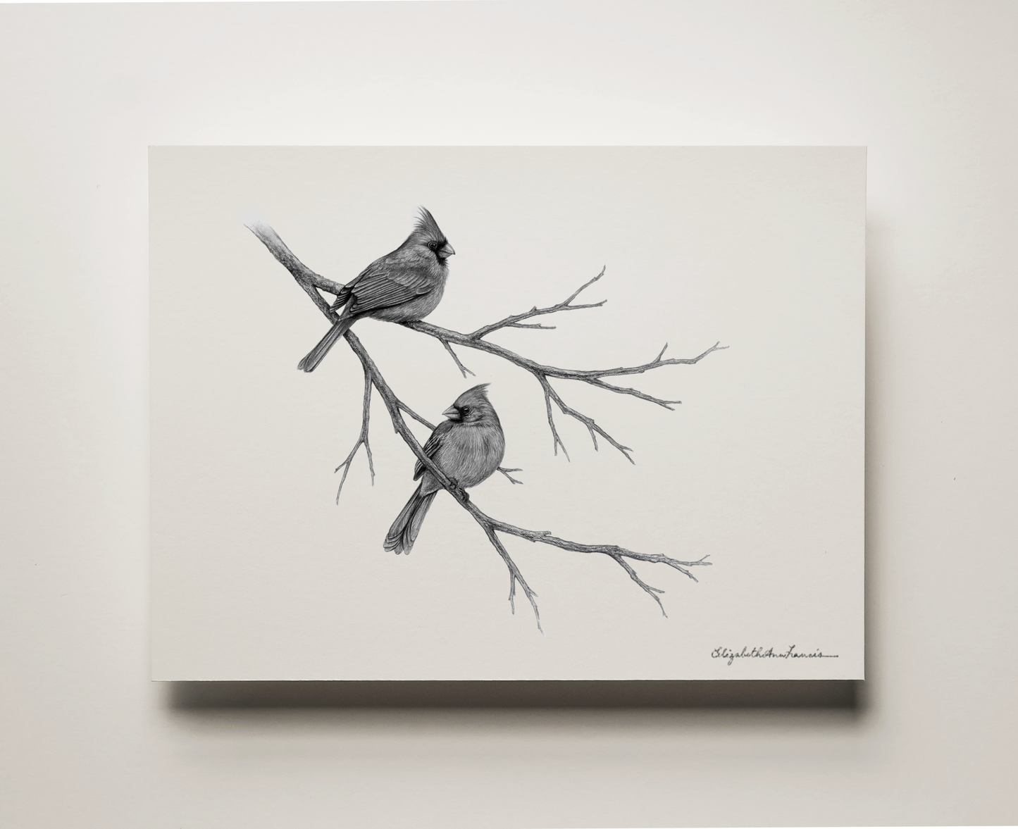 Northern Cardinals | Fine Art Print