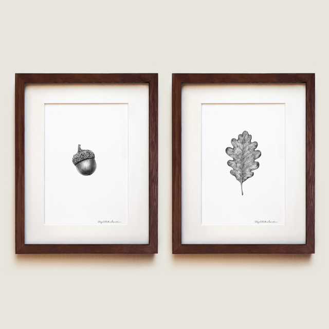 White Oak | Fine Art Print Set
