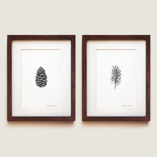 White Spruce | Fine Art Print Set