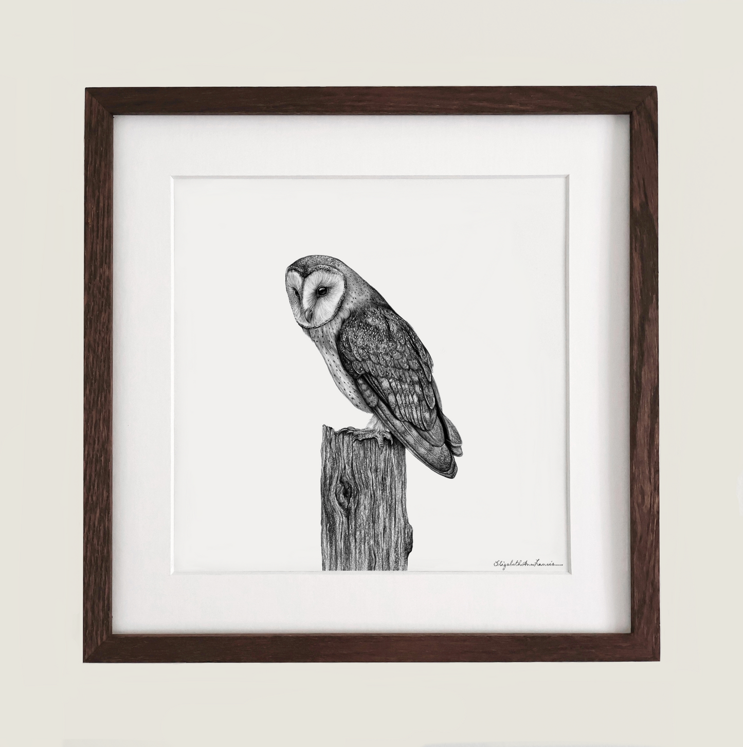 Barn Owl | Framed Original Drawing