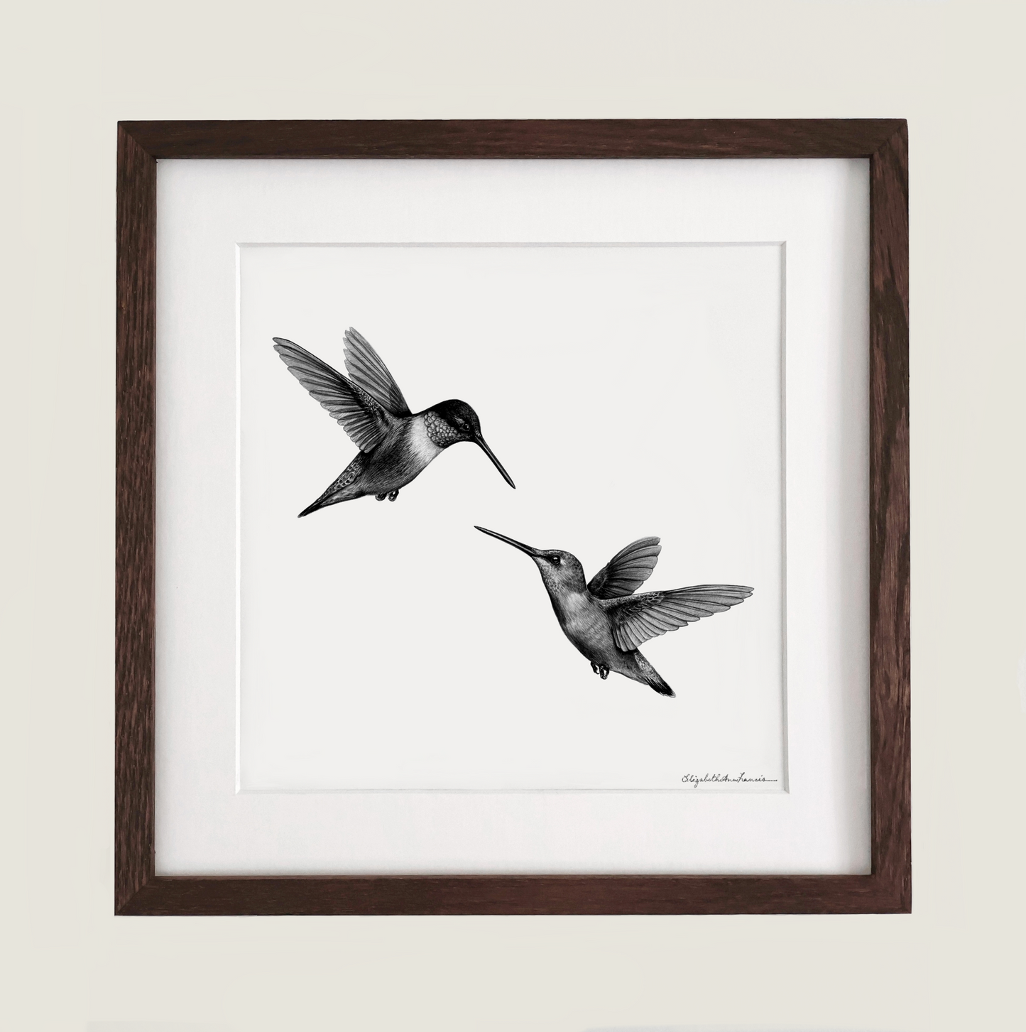 Ruby-throated Hummingbird | Framed Original Drawing