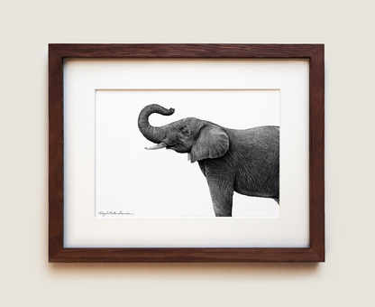 Happy Elephant | Fine Art Print