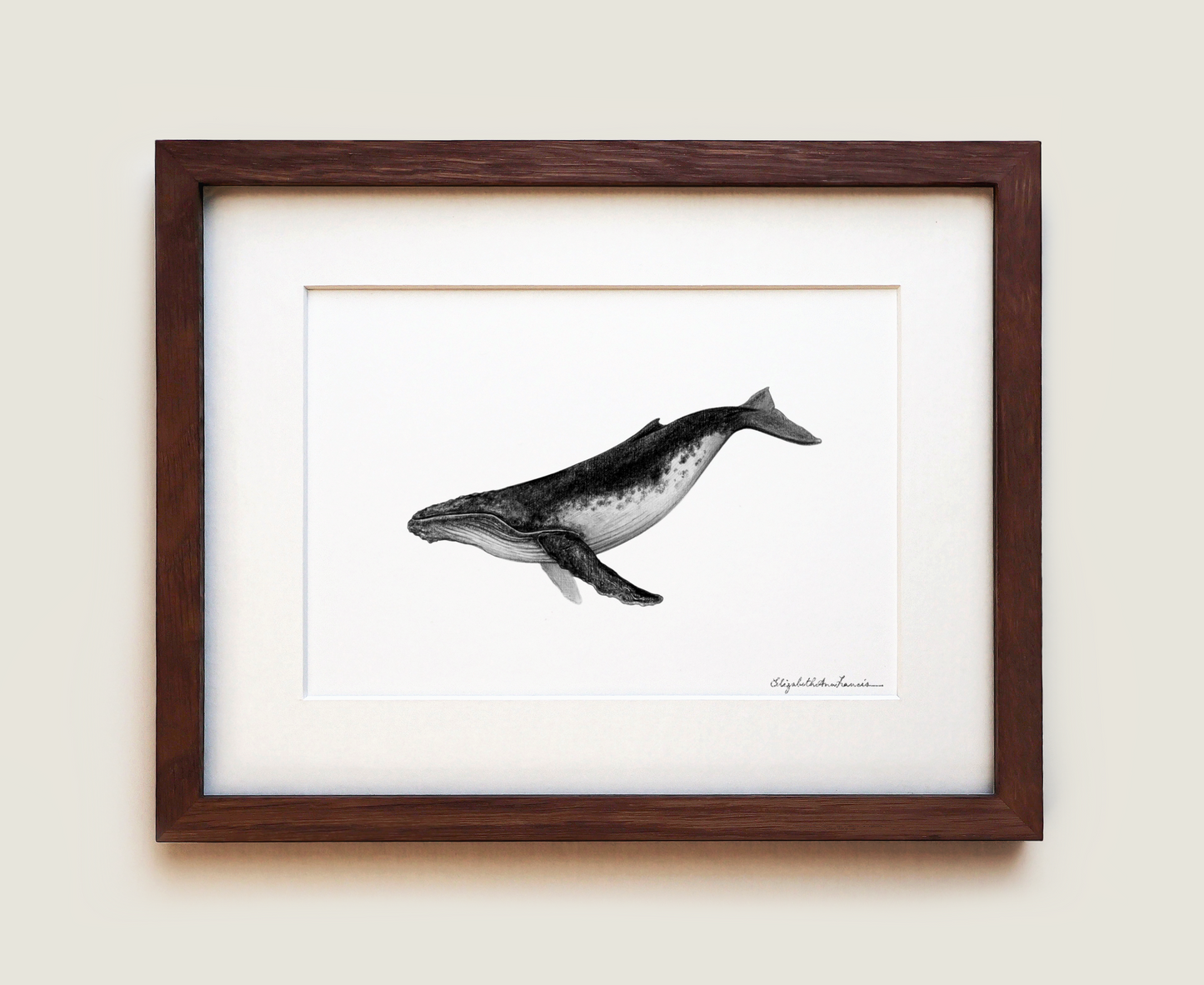 Humpback Whale | Fine Art Print
