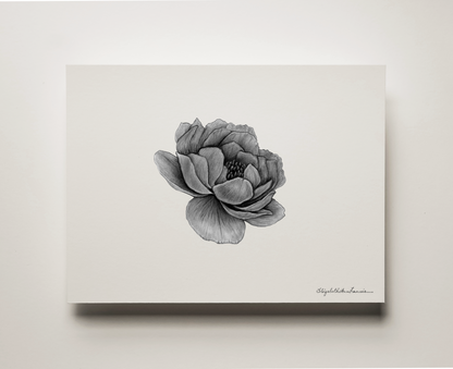 Peony | Fine Art Print