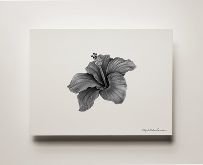 Hibiscus | Fine Art Print