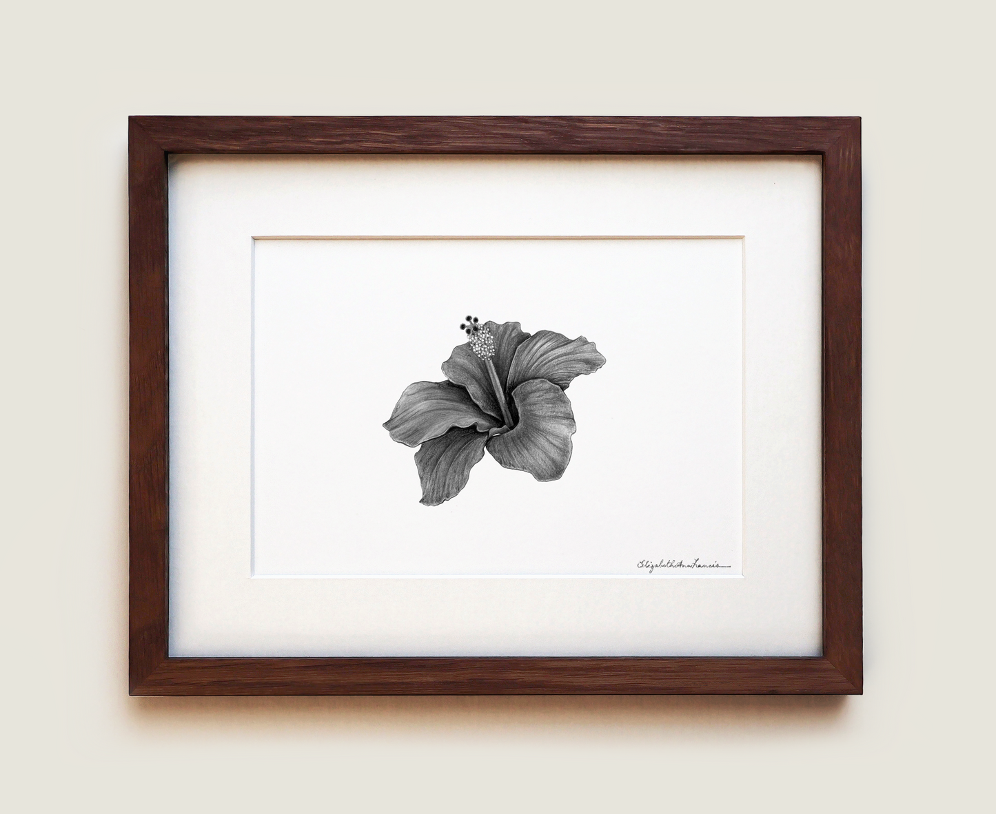 Hibiscus | Fine Art Print