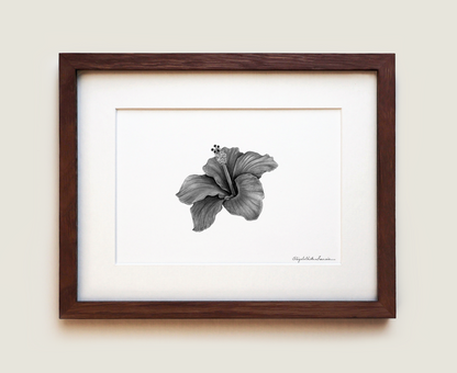 Hibiscus | Fine Art Print