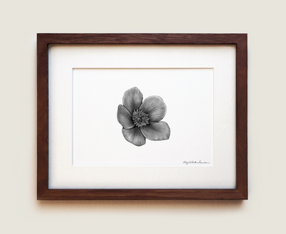 Wild Rose | Fine Art Print