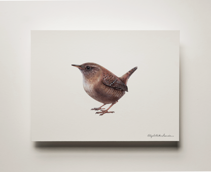 House Wren | Fine Art Print